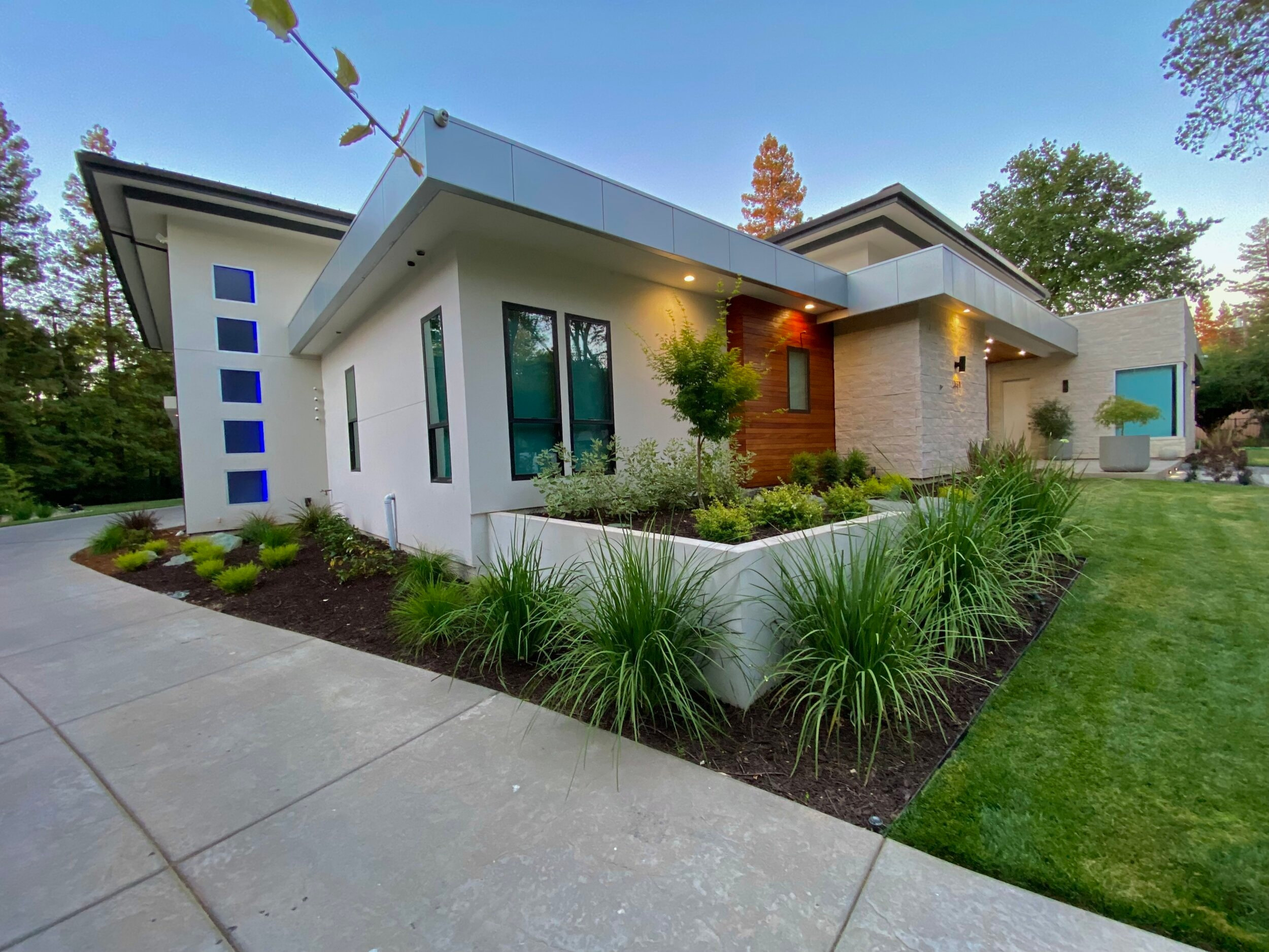 Angular rooflines, wood cladding and planting along the side elevation