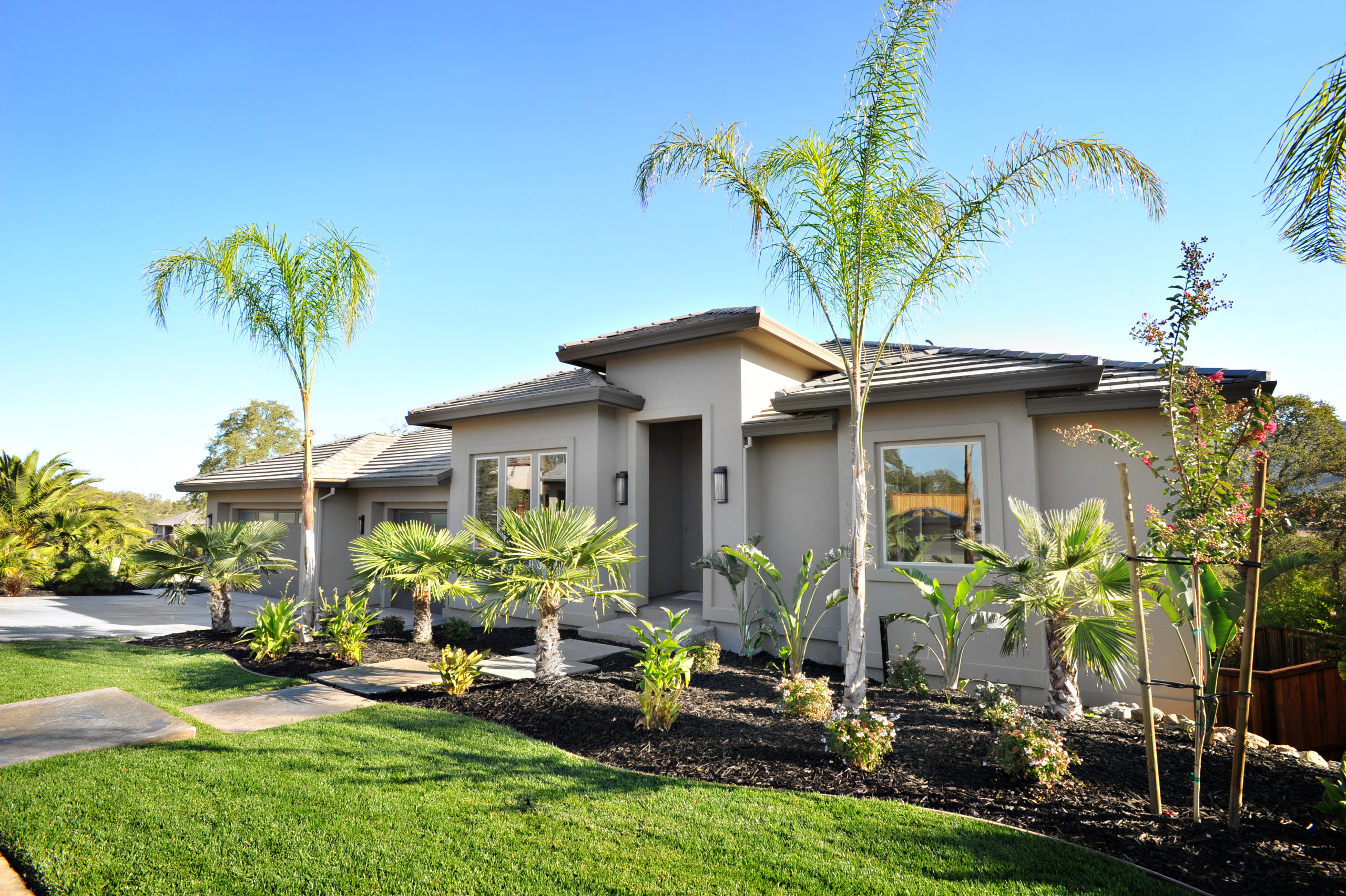 Landscaped front approach with palms and layered rooflines